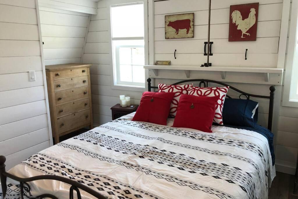 Amazing Loft On Horse Ranch Apartamento Pilot Hill Exterior foto